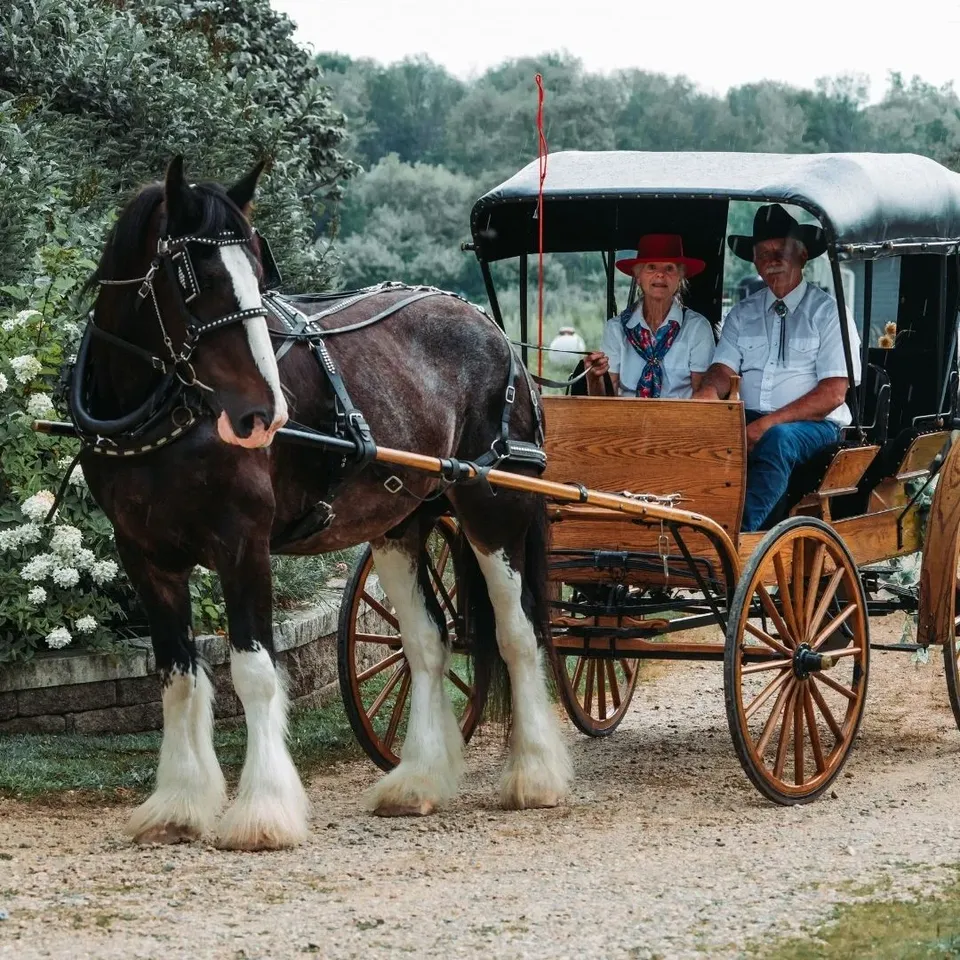 The Barns of Lost Creek wedding venue in Beldenville, Wisconsin, gallery photo 9